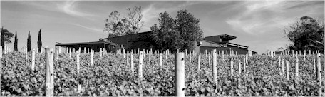 http://www.thelane.com.au/ - Lane Vineyard - Tasting Notes On Australian & New Zealand wines