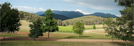 http://www.mayfordwines.com/ - Mayford - Tasting Notes On Australian & New Zealand wines