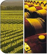 http://www.montanawines.co.nz/ - Montana - Tasting Notes On Australian & New Zealand wines