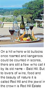 http://www.redhillestate.com.au/ - Red Hill Estate - Tasting Notes On Australian & New Zealand wines