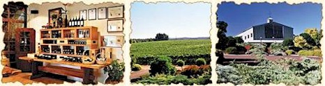 http://www.salitage.com.au/ - Salitage - Tasting Notes On Australian & New Zealand wines