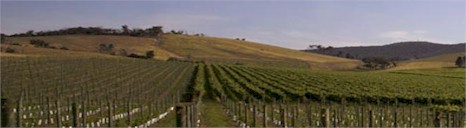 http://soumah.com.au/ - Soumah - Tasting Notes On Australian & New Zealand wines