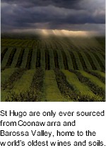 http://www.sthugo.com/ - St Hugo - Tasting Notes On Australian & New Zealand wines