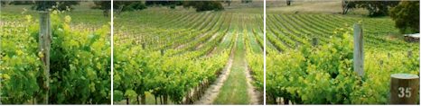 http://www.gleneldonwines.com.au/ - Glen Eldon - Tasting Notes On Australian & New Zealand wines