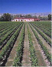 http://www.isabelestate.com/ - Isabel Estate - Tasting Notes On Australian & New Zealand wines