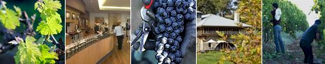 http://www.millbrookwinery.com.au/ - Millbrook - Tasting Notes On Australian & New Zealand wines