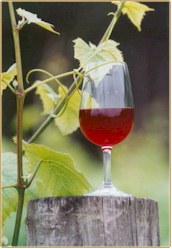 http://www.otwayestate.com.au/ - Otway Estate - Tasting Notes On Australian & New Zealand wines