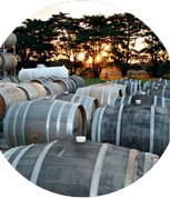 http://davidtraegerwines.com.au/ - David Traeger - Tasting Notes On Australian & New Zealand wines