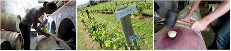 http://www.wantirnaestate.com.au/ - Wantirna Estate - Tasting Notes On Australian & New Zealand wines