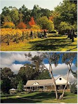 http://www.bluepyrenees.com.au/ - Blue Pyrenees - Tasting Notes On Australian & New Zealand wines
