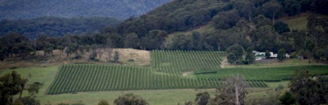 http://edenroadwines.com.au/ - Eden Road - Tasting Notes On Australian & New Zealand wines