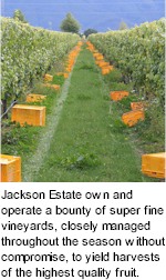 http://www.jacksonestate.co.nz/ - Jackson Estate - Tasting Notes On Australian & New Zealand wines