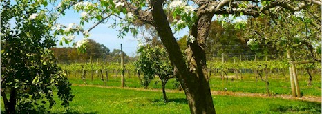 https://www.merricksestate.com.au/ - Merricks Estate - Tasting Notes On Australian & New Zealand wines