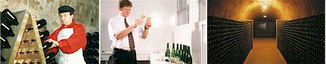 http://www.mumm.com/ - Mumm - Tasting Notes On Australian & New Zealand wines