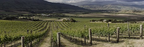 http://www.prophetsrock.co.nz/ - Prophets Rock - Tasting Notes On Australian & New Zealand wines