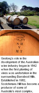 http://www.scotchmanshill.com.au/ - Scotchmans Hill - Tasting Notes On Australian & New Zealand wines
