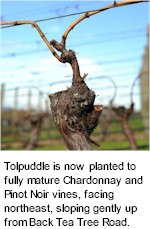 http://www.tolpuddlevineyard.com/ - Tolpuddle - Tasting Notes On Australian & New Zealand wines