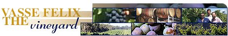 http://www.vassefelix.com.au/ - Vasse Felix - Tasting Notes On Australian & New Zealand wines