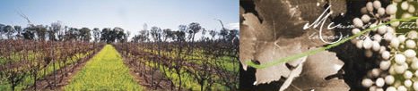 http://www.alkoomiwines.com.au/ - Alkoomi - Tasting Notes On Australian & New Zealand wines