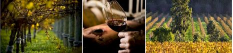 http://www.frasergallopestate.com.au/ - Fraser Gallop - Tasting Notes On Australian & New Zealand wines