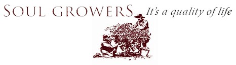 http://www.soulgrowers.com/ - Soul Growers - Tasting Notes On Australian & New Zealand wines