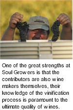 http://www.soulgrowers.com/ - Soul Growers - Tasting Notes On Australian & New Zealand wines